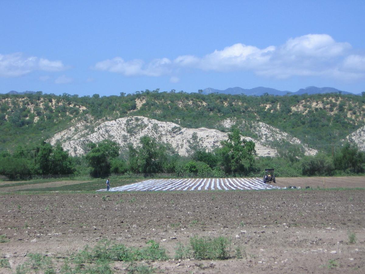 MLS #25-2683 image #0