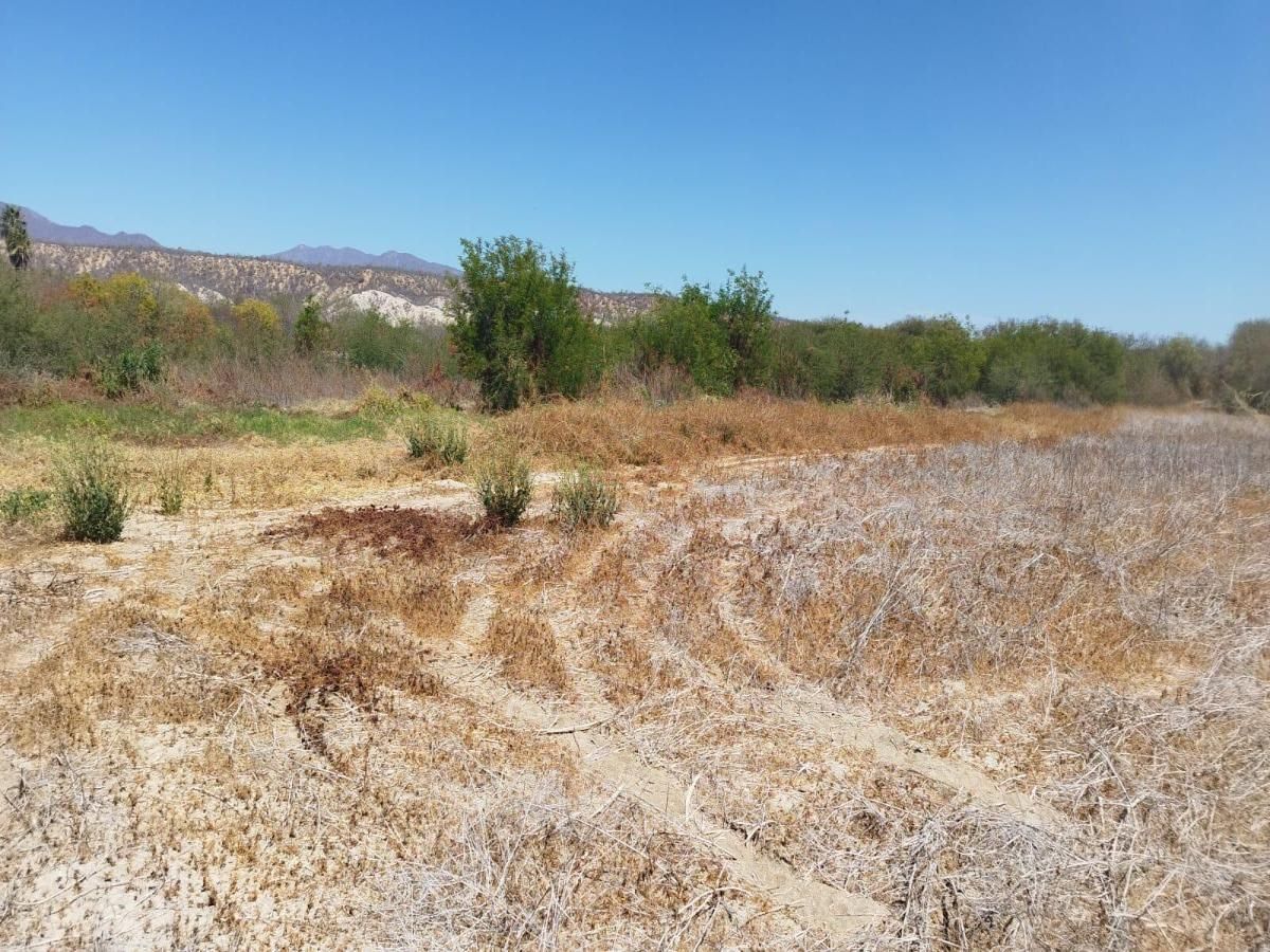 MLS #25-2684 image #0