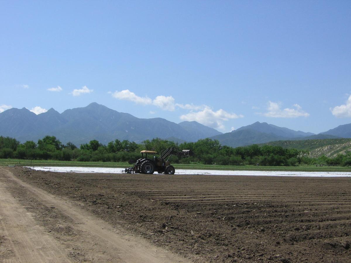 S/N CAMINO A MATANCITAS DC ORGANICS 11 East Cape BCS MLS #25-2685 33 MLS #25-2685 image #0