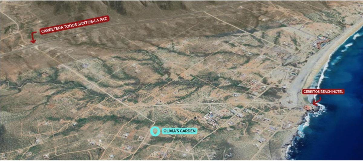 MLS #25-2734 image #0