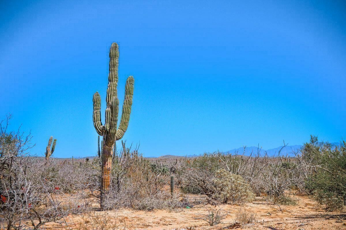 MLS #25-2760 image #0