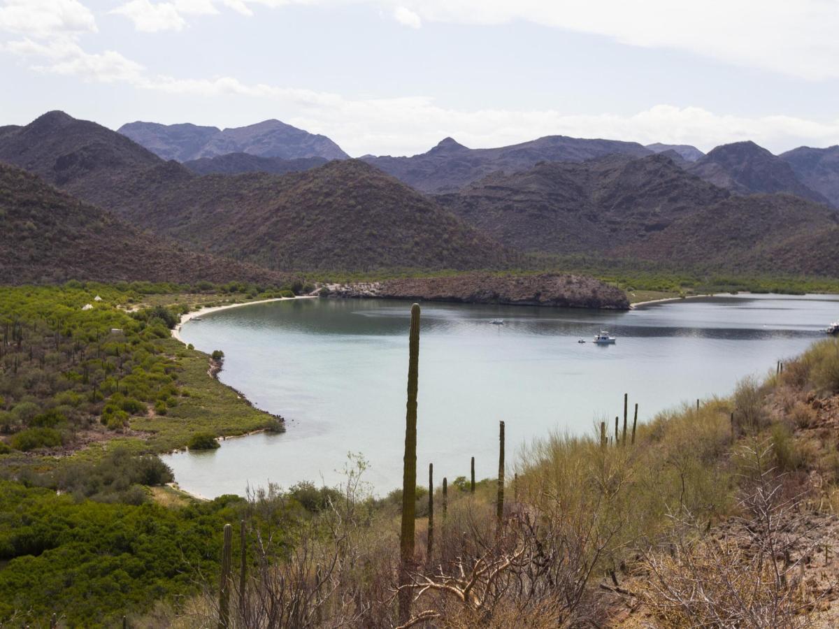 MLS #25-2800 image #0