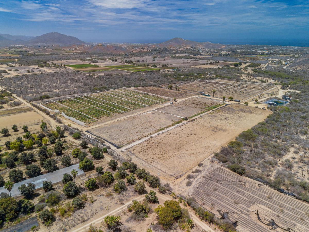 MLS #25-2807 image #0