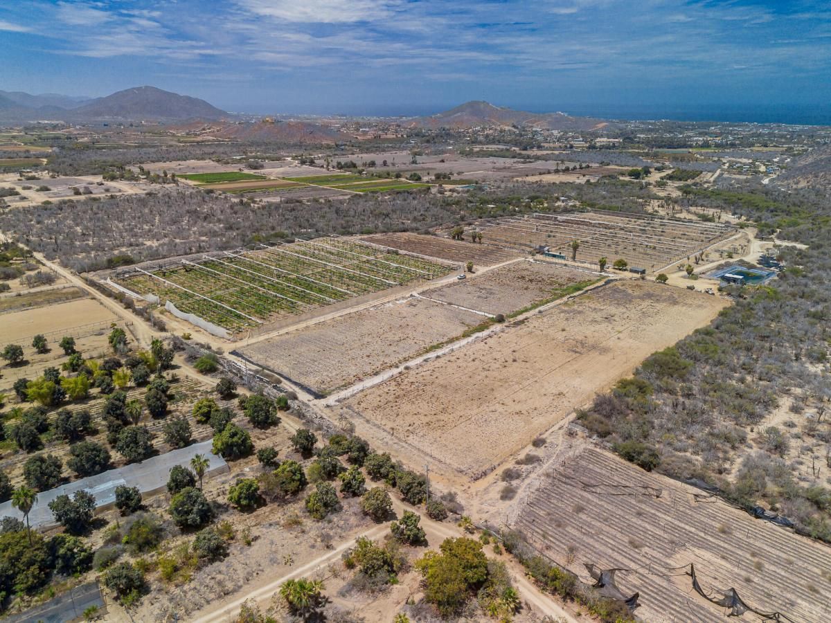 San Simon Developers Dream Lot Pacific BCS MLS #25-2807 37 MLS #25-2807 image #0