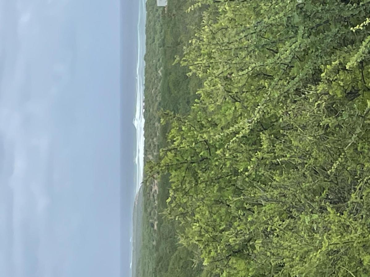 MLS #25-2829 image #0