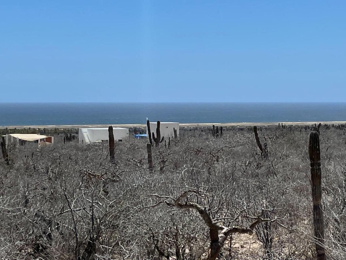 MLS #25-2831 image #0