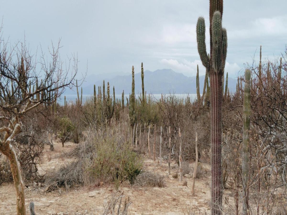 MLS #25-2930 image #0