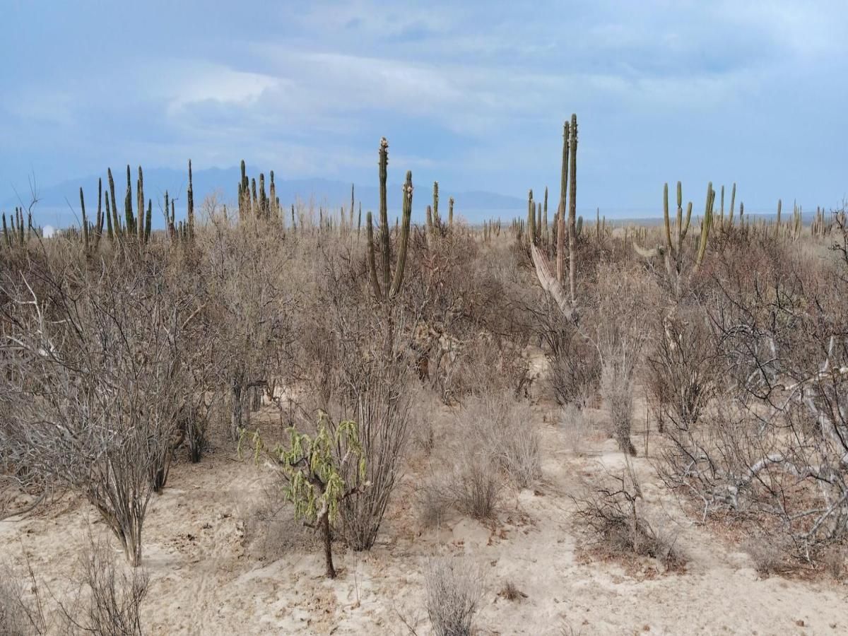 MLS #25-2931 image #0