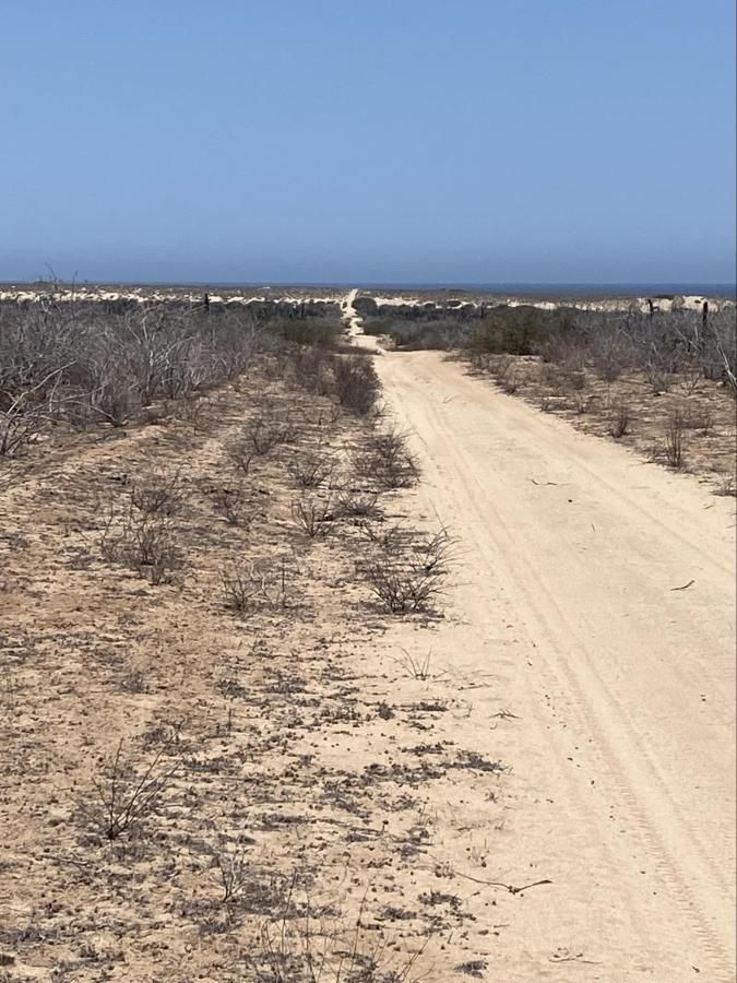 MLS #25-2972 image #0