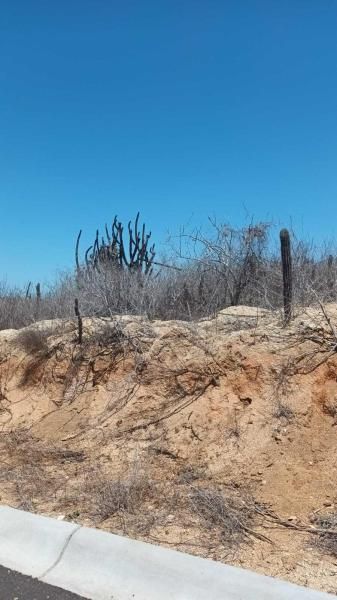 MLS #25-3057 image #0