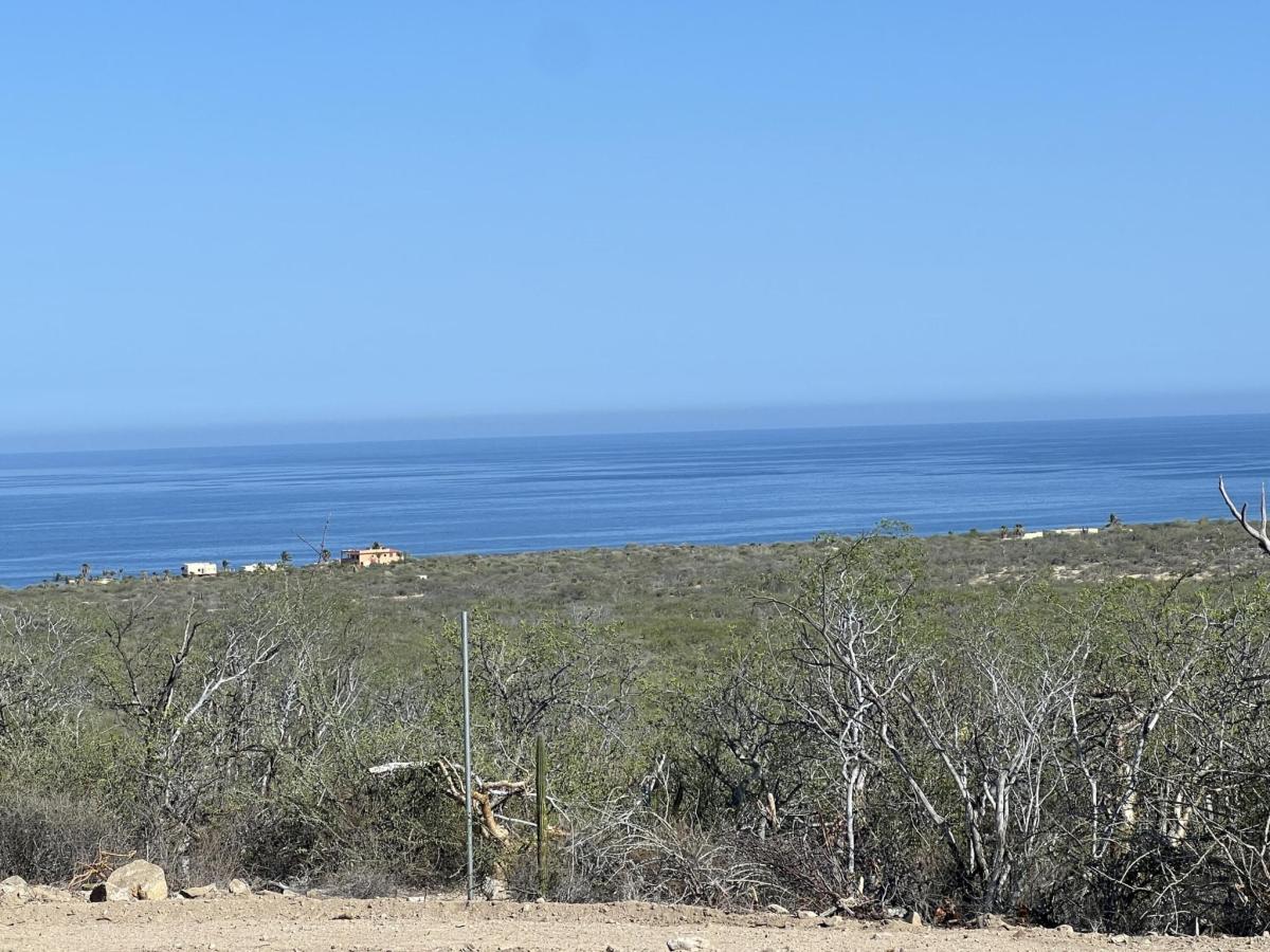 MLS #25-3181 image #0