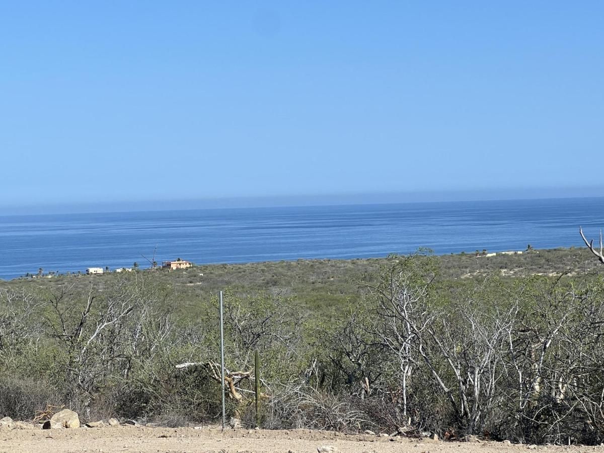 MLS #25-3181 image #0