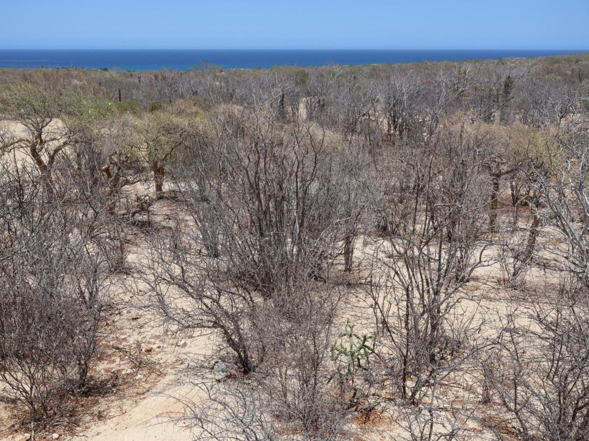 MLS #25-3212 image #0