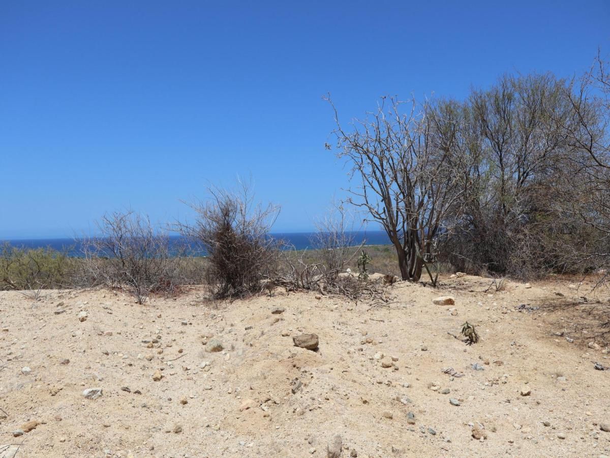Candelilla Lot 11 East Cape BCS MLS #25-3214 41 MLS #25-3214 image #0