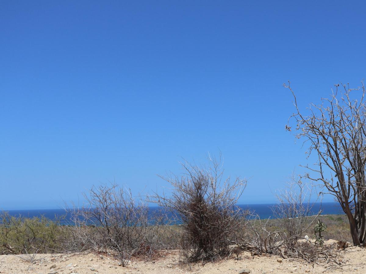 Candelilla Lot 11 East Cape BCS MLS #25-3214 33 MLS #25-3214 image #0