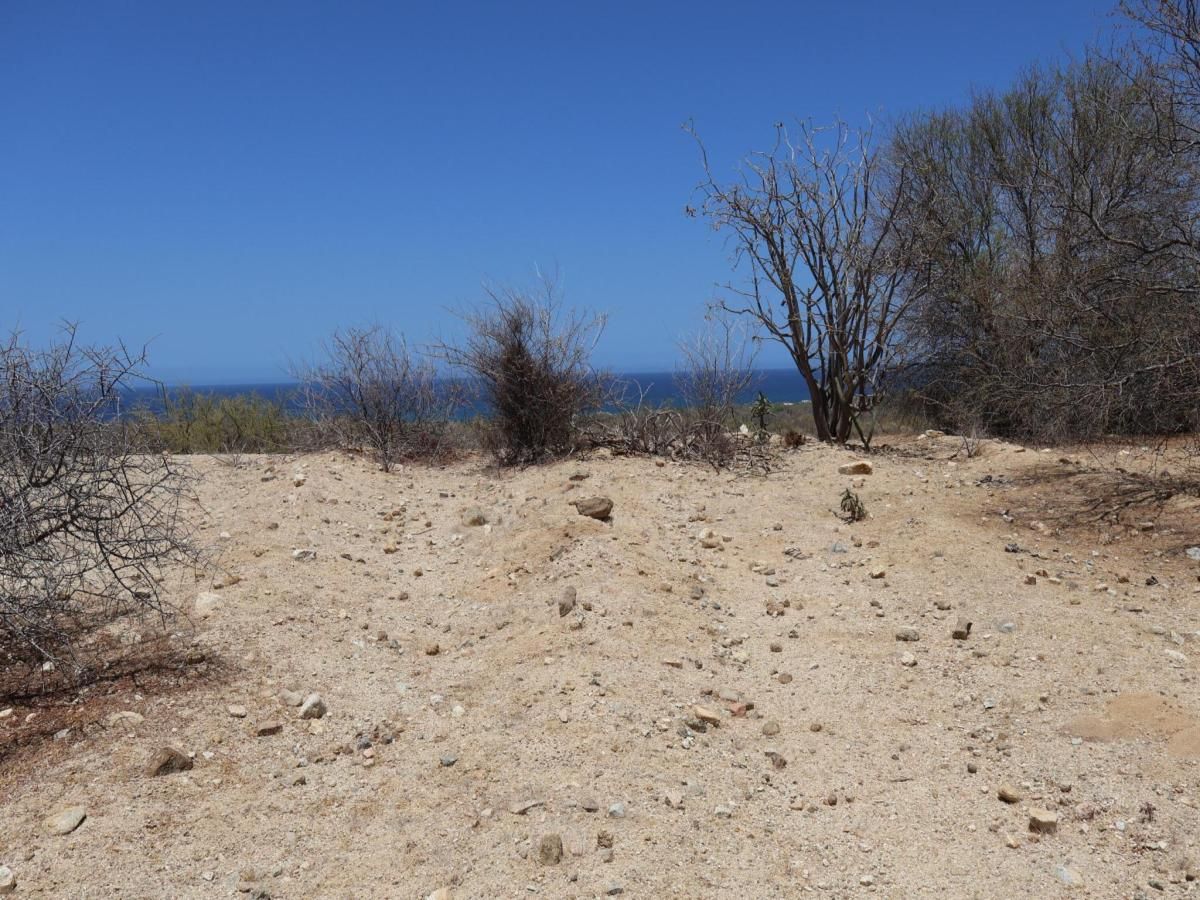 MLS #25-3215 image #0