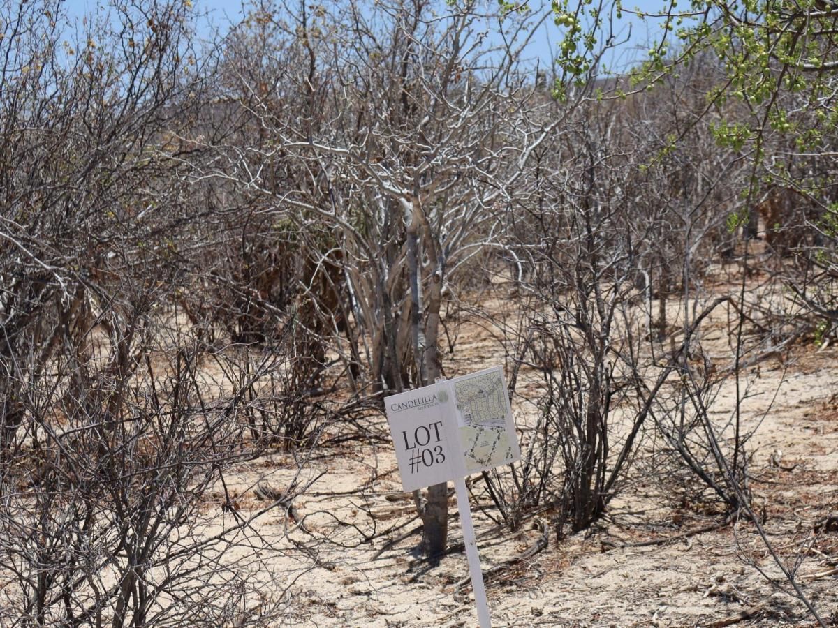 MLS #25-3217 image #0