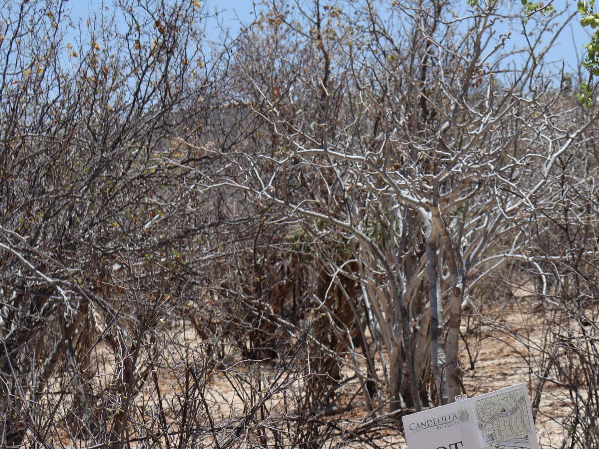 Candelilla Lot 3 East Cape BCS MLS #25-3217 33 MLS #25-3217 image #0