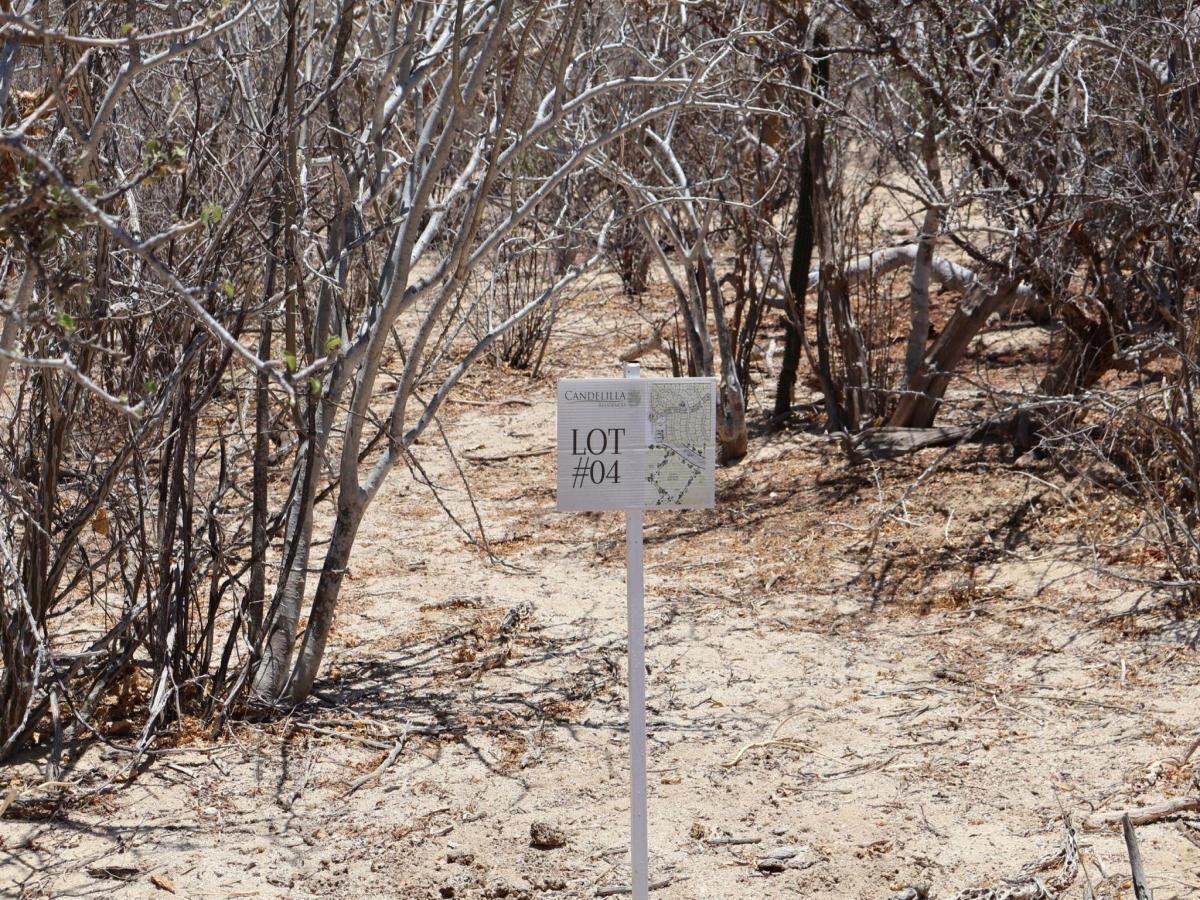 MLS #25-3218 image #0