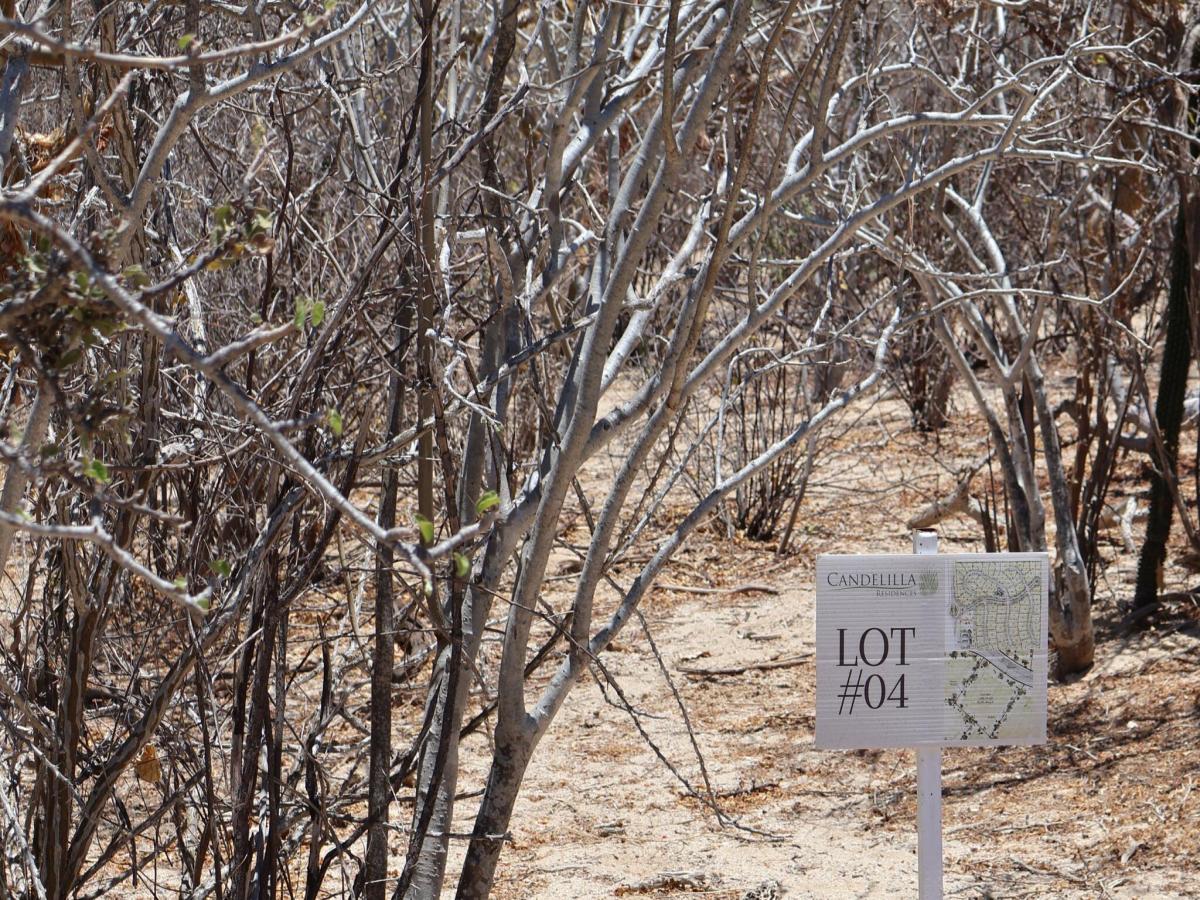 Candelilla Lot 4 East Cape BCS MLS #25-3218 33 MLS #25-3218 image #0