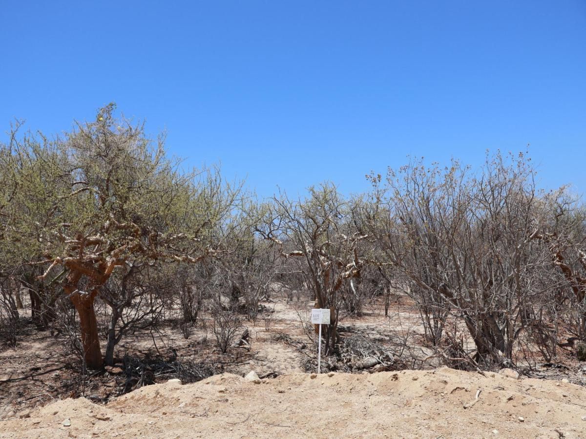 MLS #25-3219 image #0