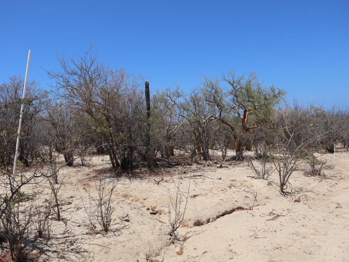 MLS #25-3221 image #0