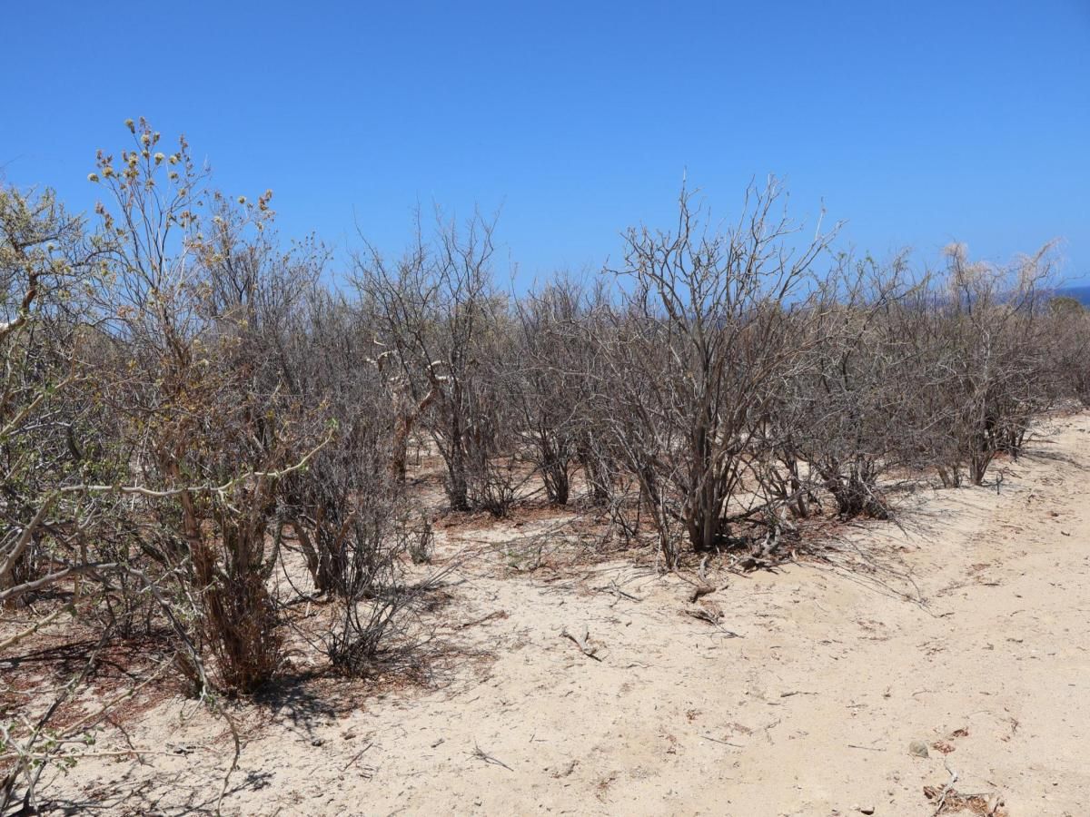 MLS #25-3222 image #0