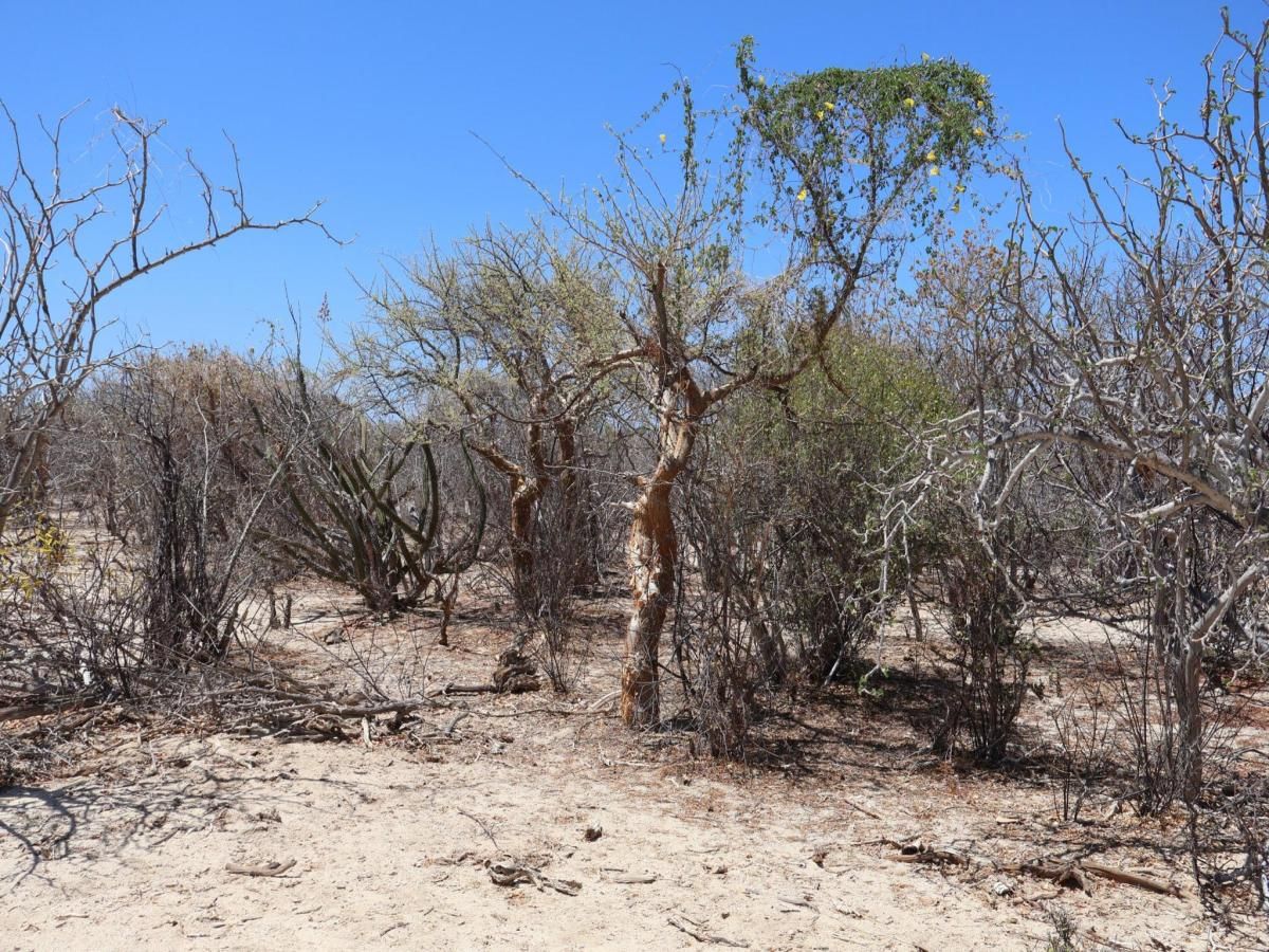 MLS #25-3223 image #0