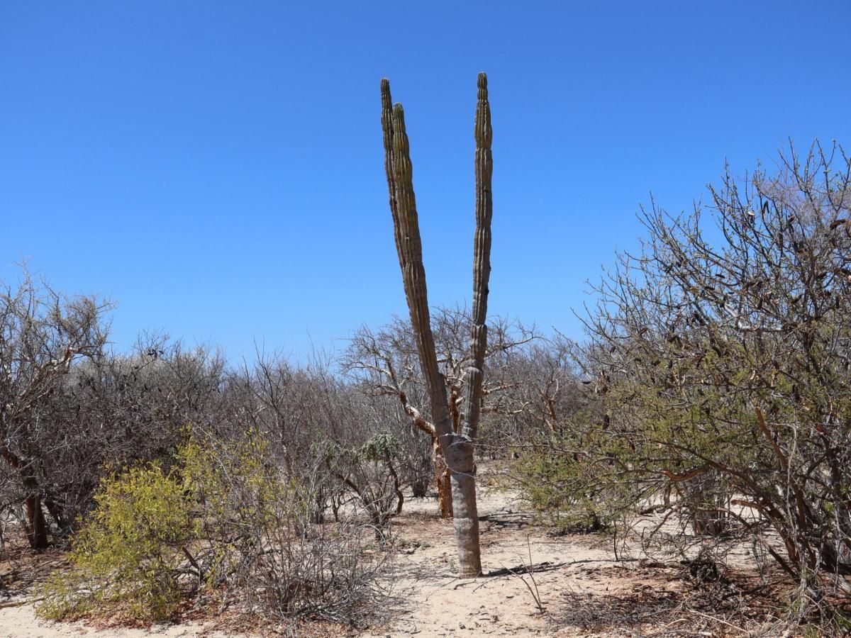 MLS #25-3224 image #0