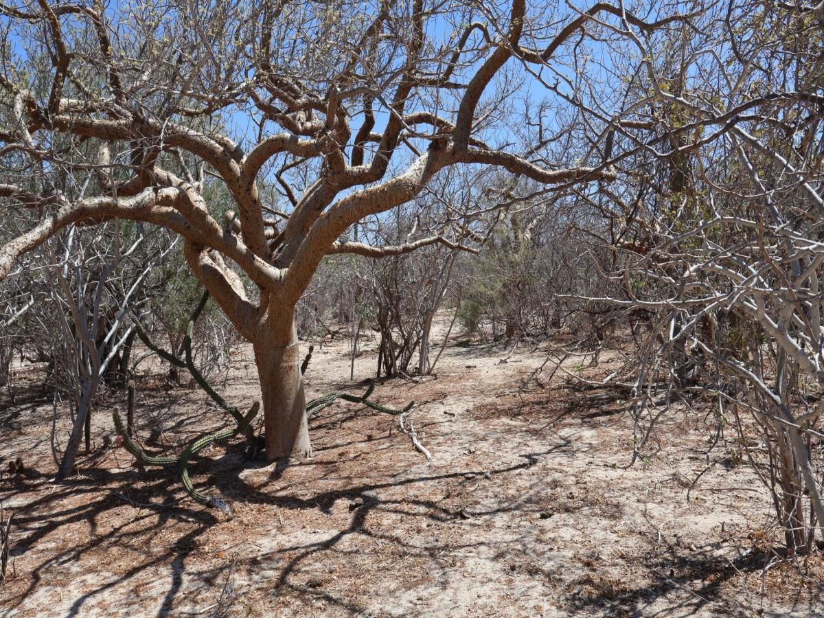 MLS #25-3226 image #0