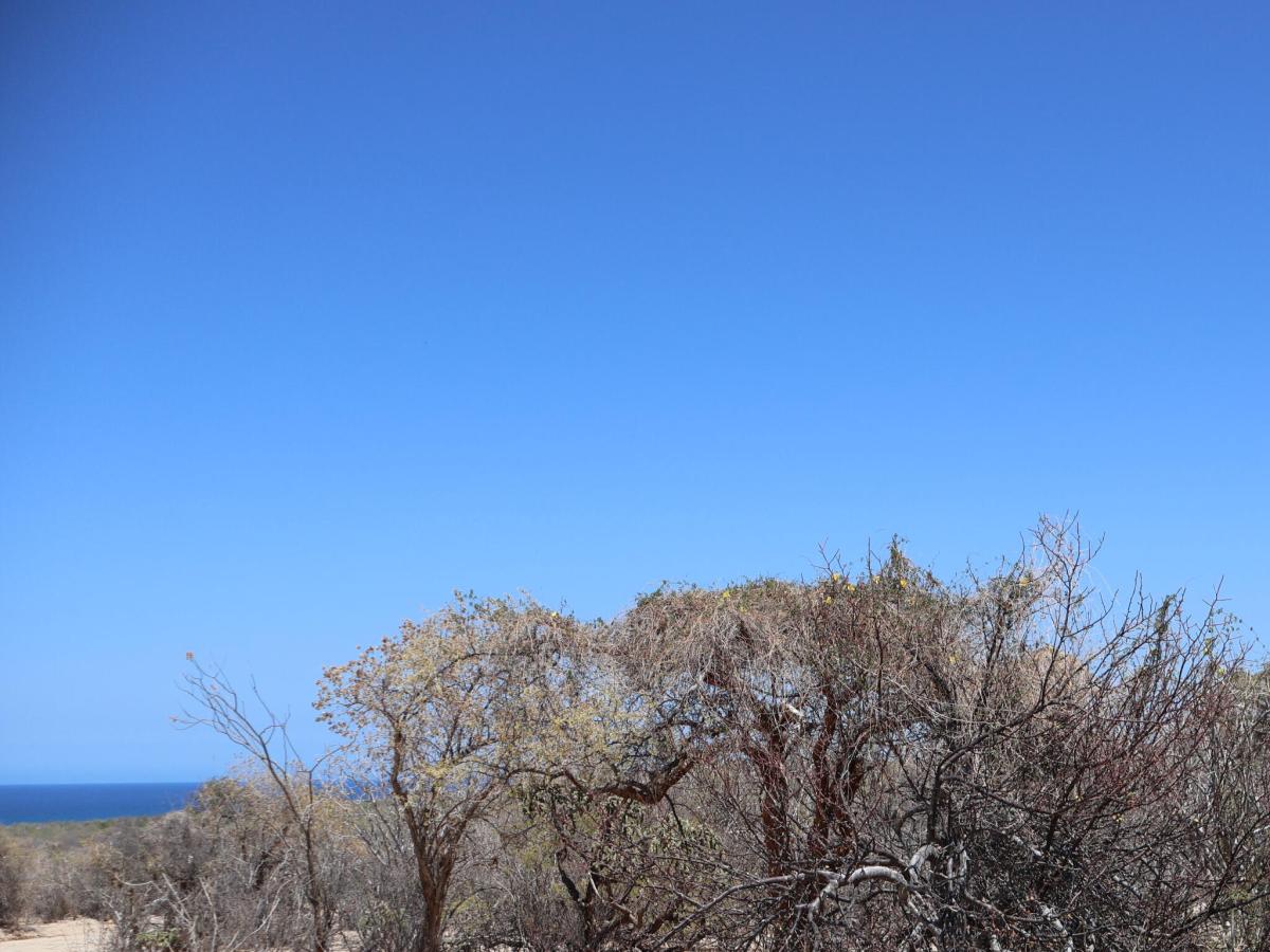 Candelilla Lot 23 East Cape BCS MLS #25-3227 33 MLS #25-3227 image #0