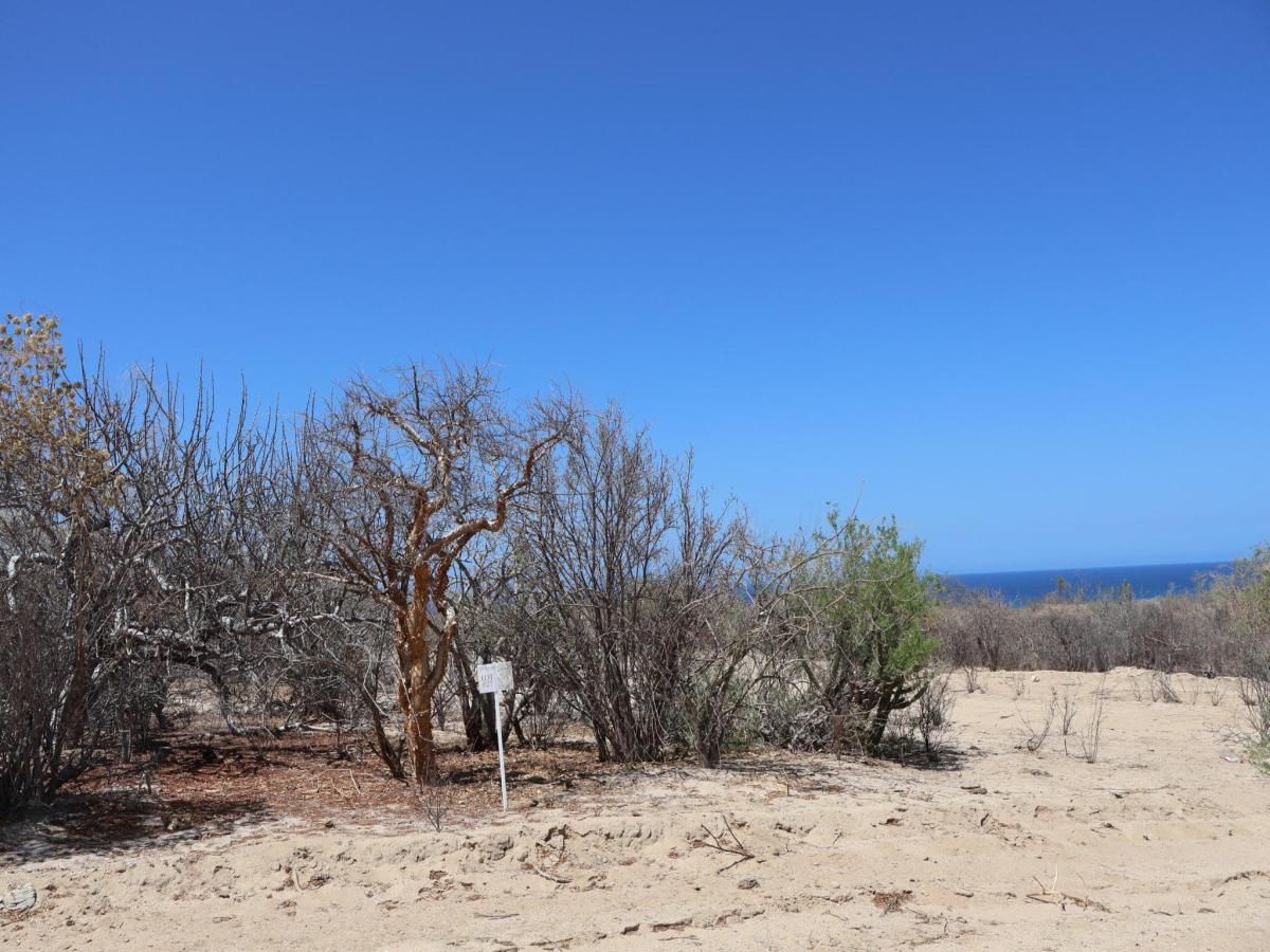 MLS #25-3229 image #0