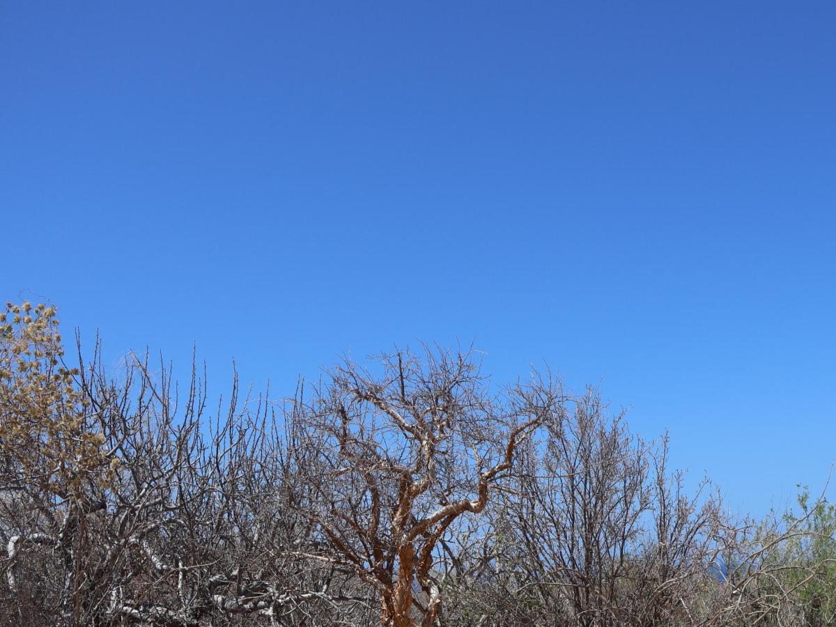 Candelilla Lot 27 East Cape BCS MLS #25-3229 33 MLS #25-3229 image #0