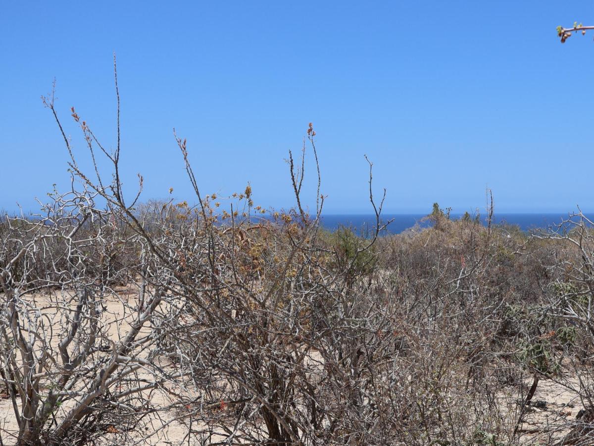 Candelilla Lot 5 East Cape BCS MLS #25-3230 33 MLS #25-3230 image #0