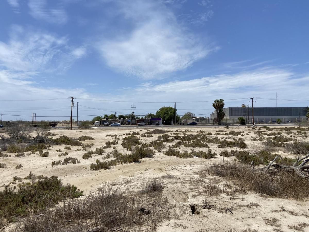 MLS #25-3250 image #0