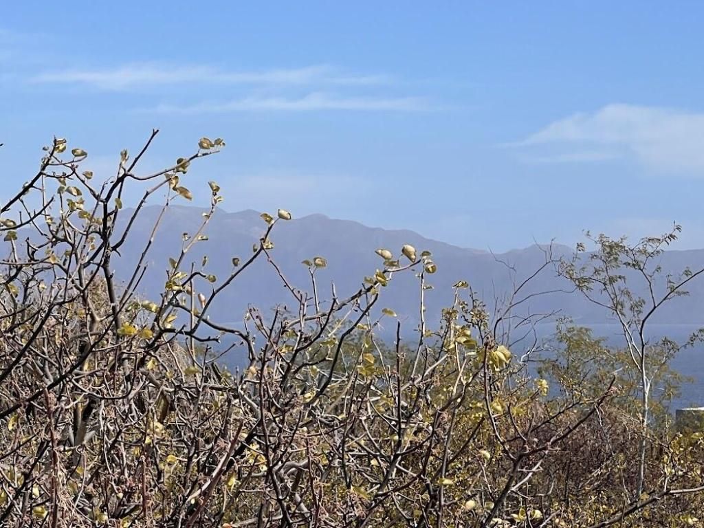 MLS #25-335 image #0