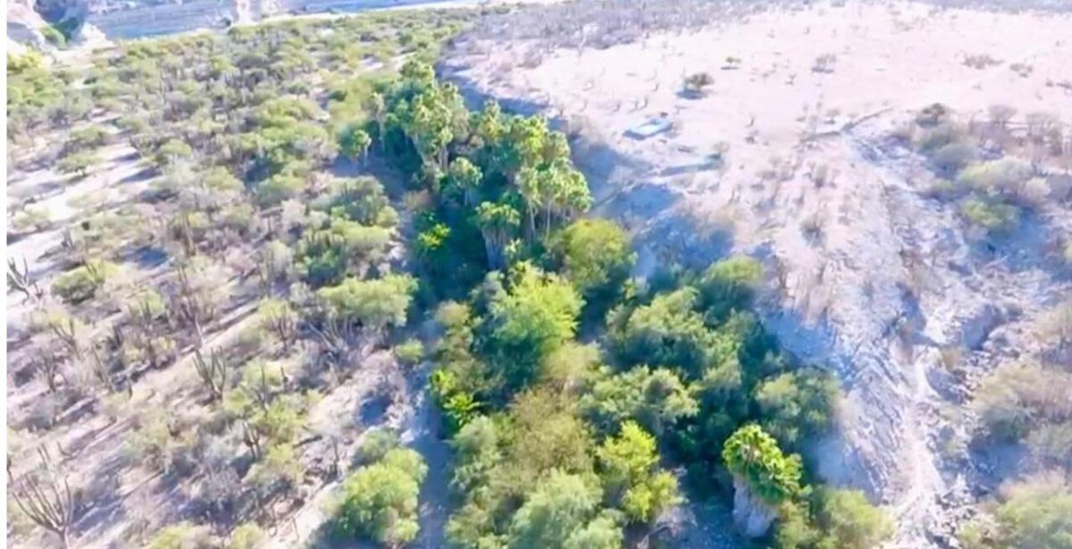 RANCH GUADALUPE H La Paz BCS MLS #25-3357 17 MLS #25-3357 image #0