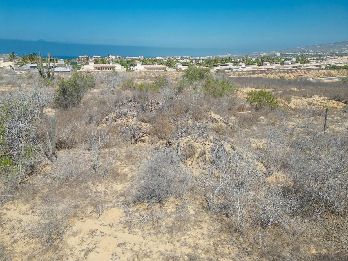 MLS #25-3390 image #0