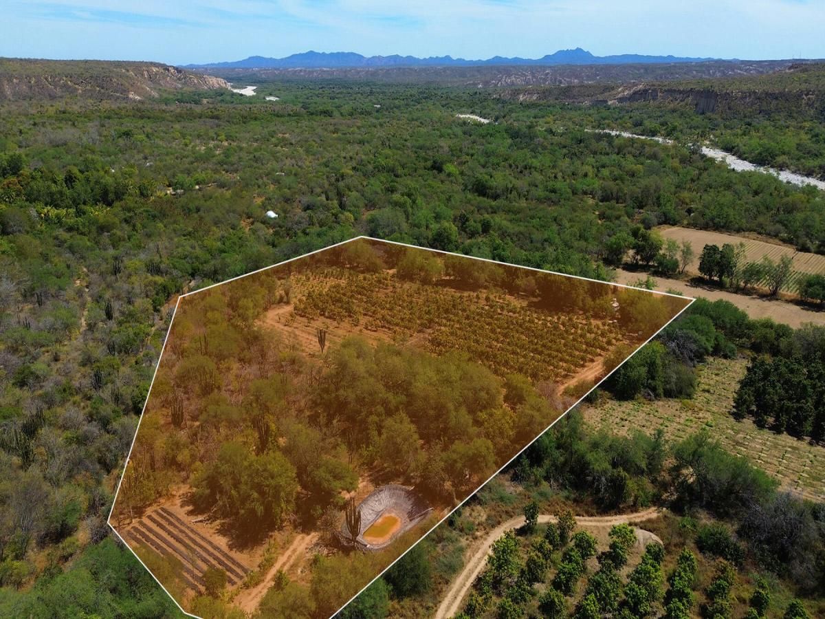 MLS #25-3449 image #0