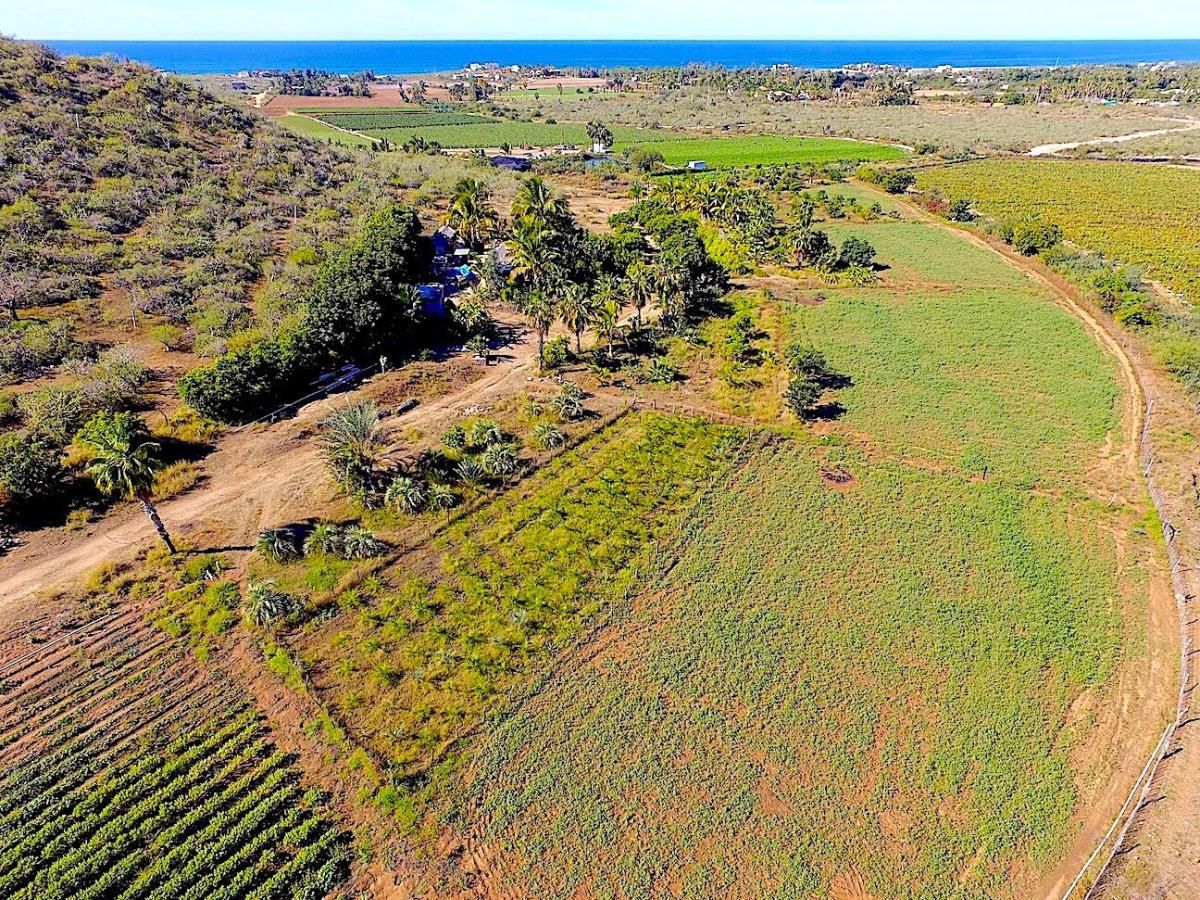 Pescadero Huertas Finca David Pacific BCS MLS #25-3458 37 MLS #25-3458 image #0