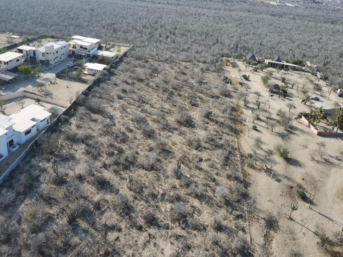 MLS #25-3463 image #0