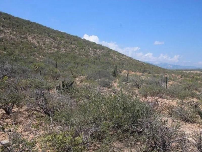 MLS #25-3498 image #0