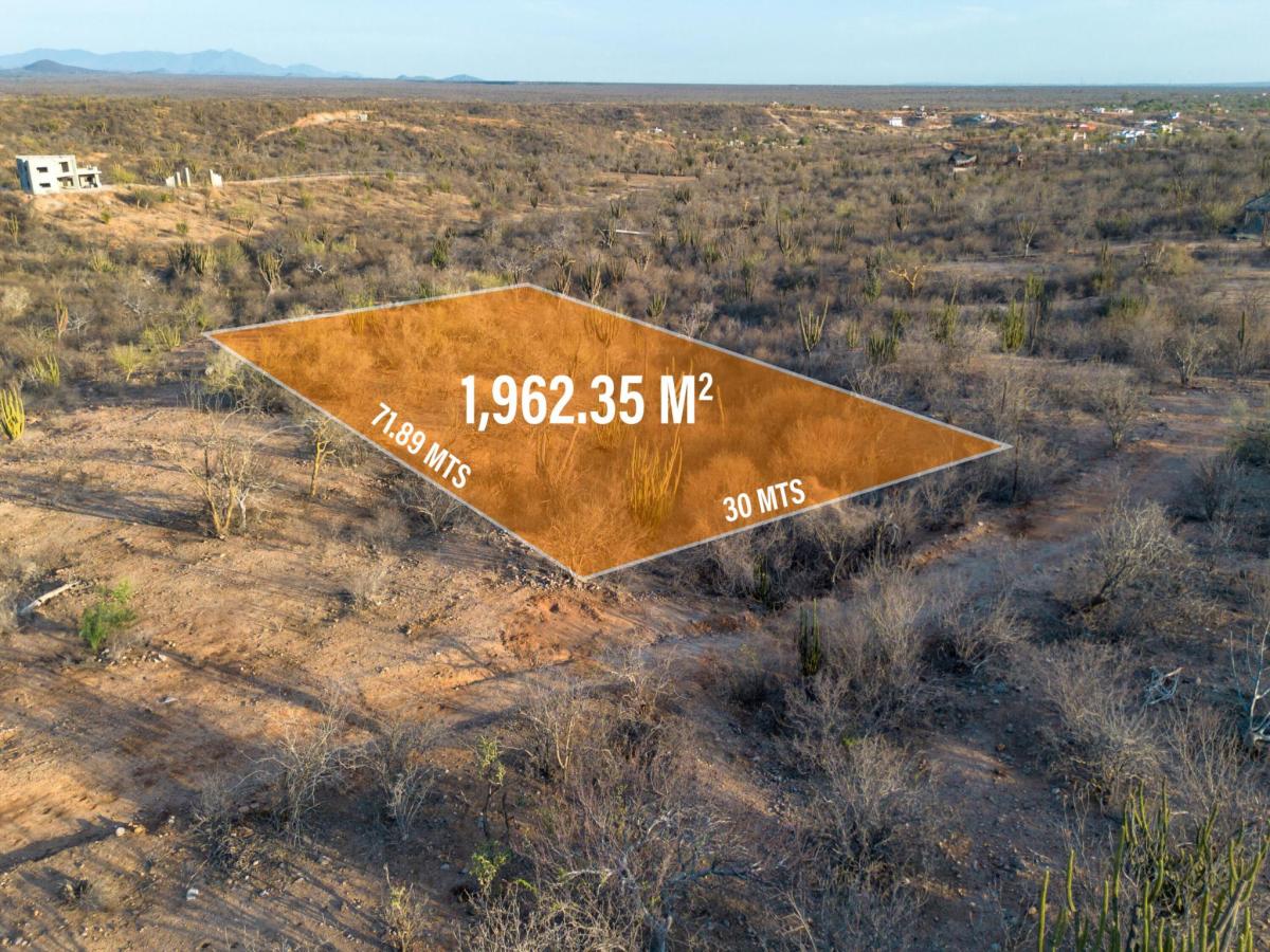 MLS #25-3590 image #0