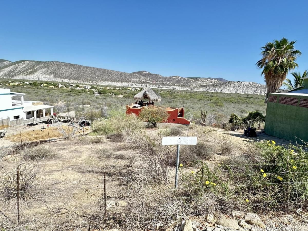 MLS #25-3598 image #0