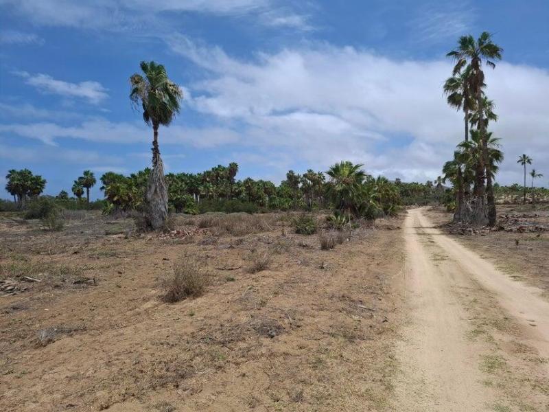 MLS #25-3611 image #0