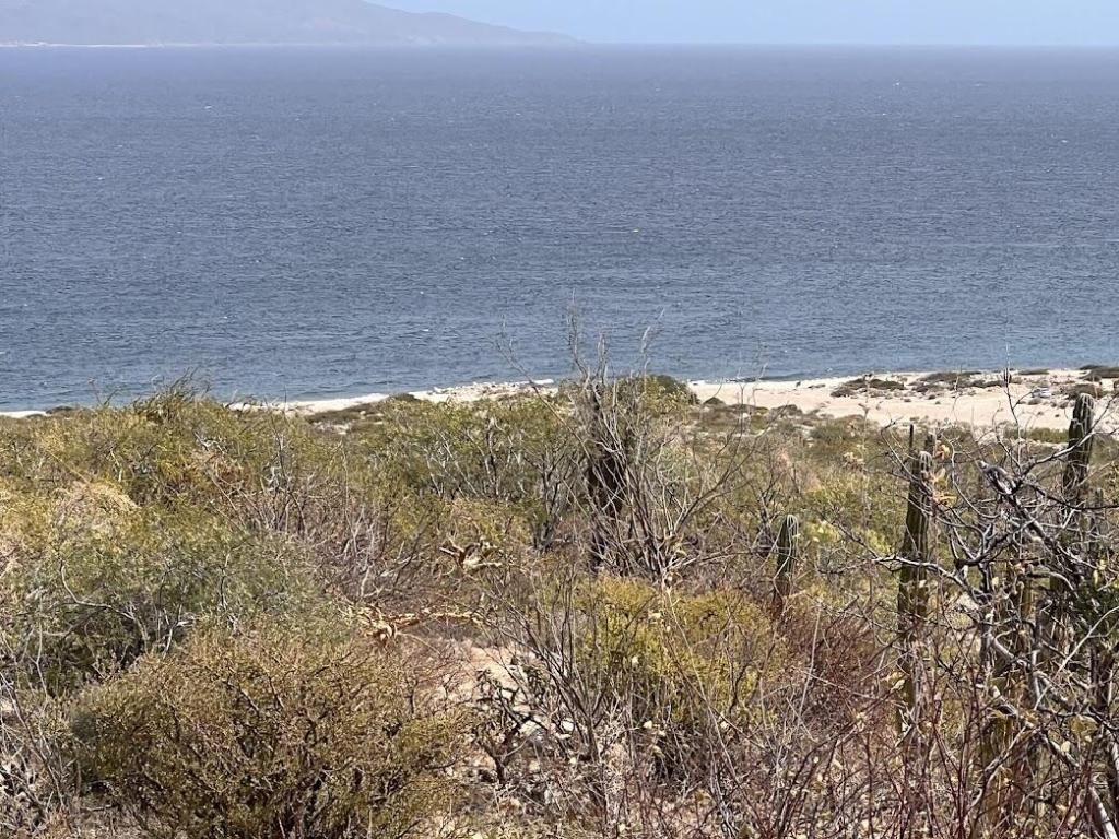 MLS #25-3626 image #0