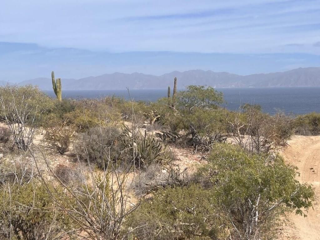 MLS #25-3627 image #0