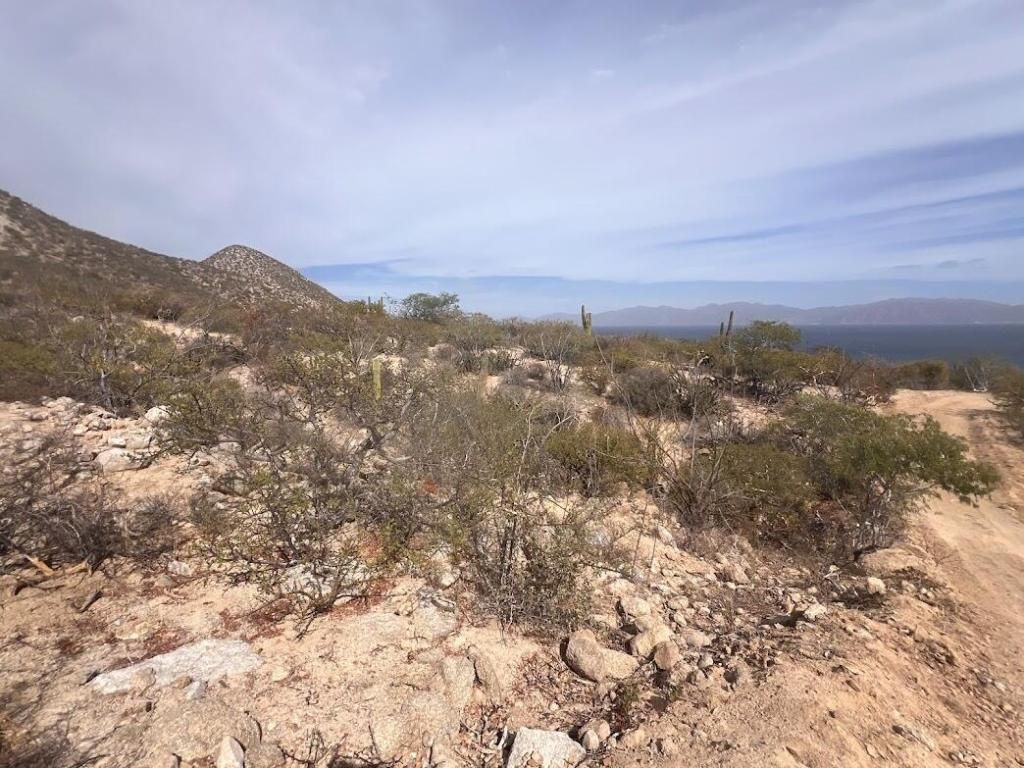 MLS #25-3628 image #0