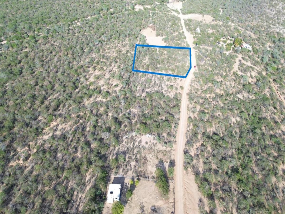 MLS #25-3631 image #0