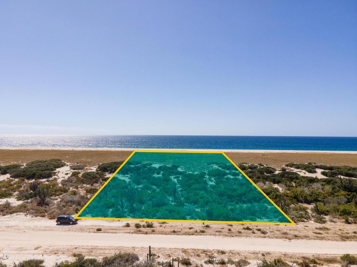 MLS #25-3656 image #0